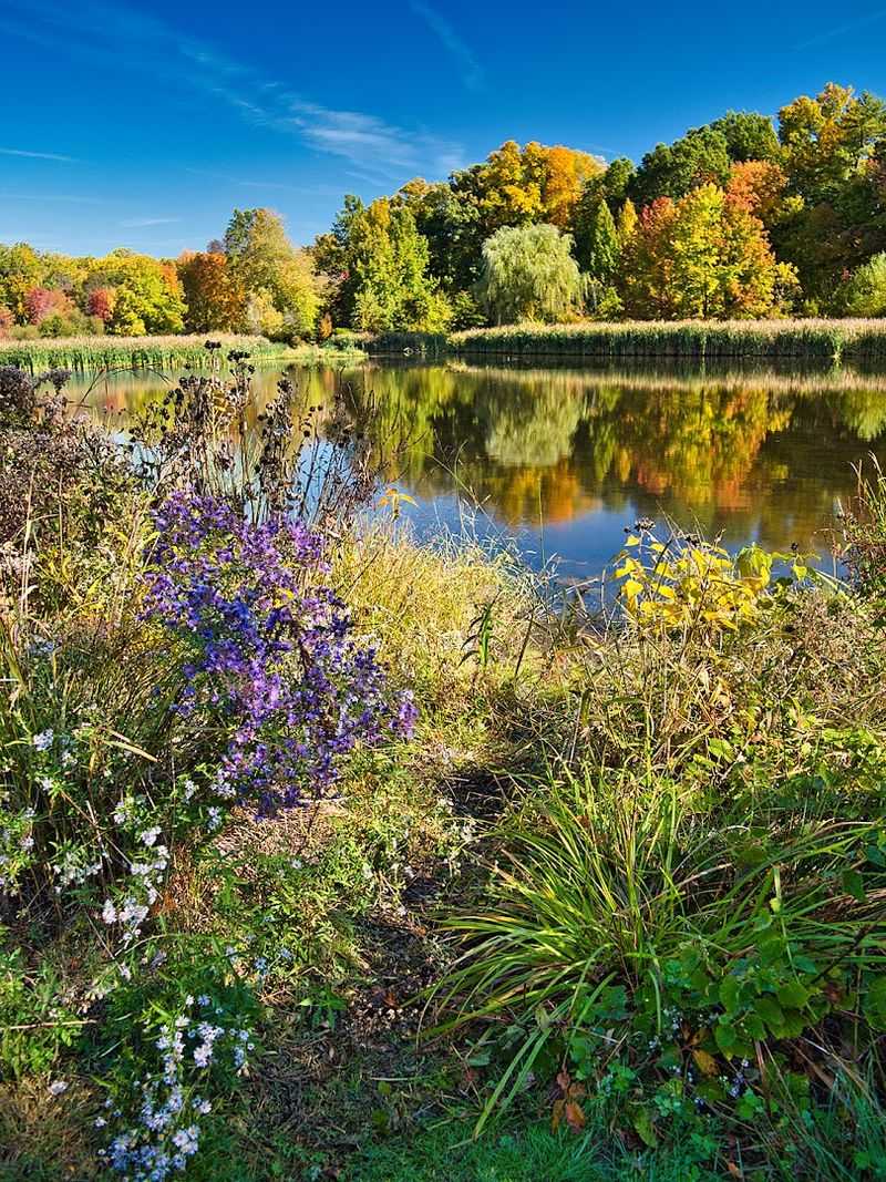 Seasonal Highlights and Annual Events