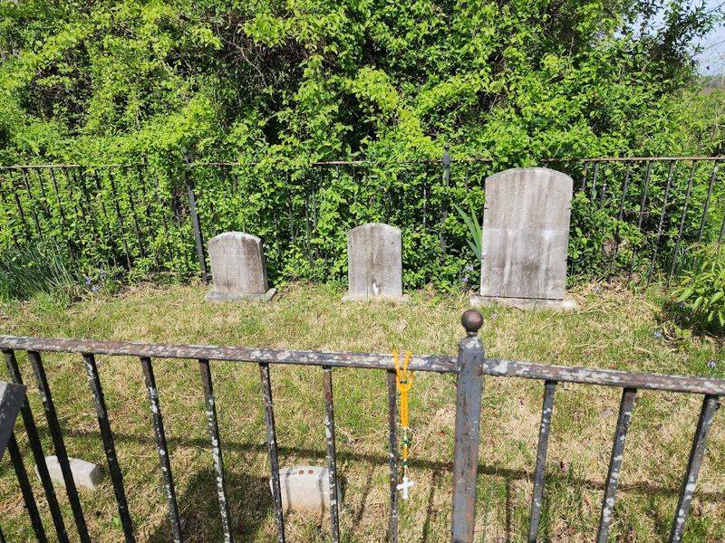 Best Times of Year to Plan a Visit