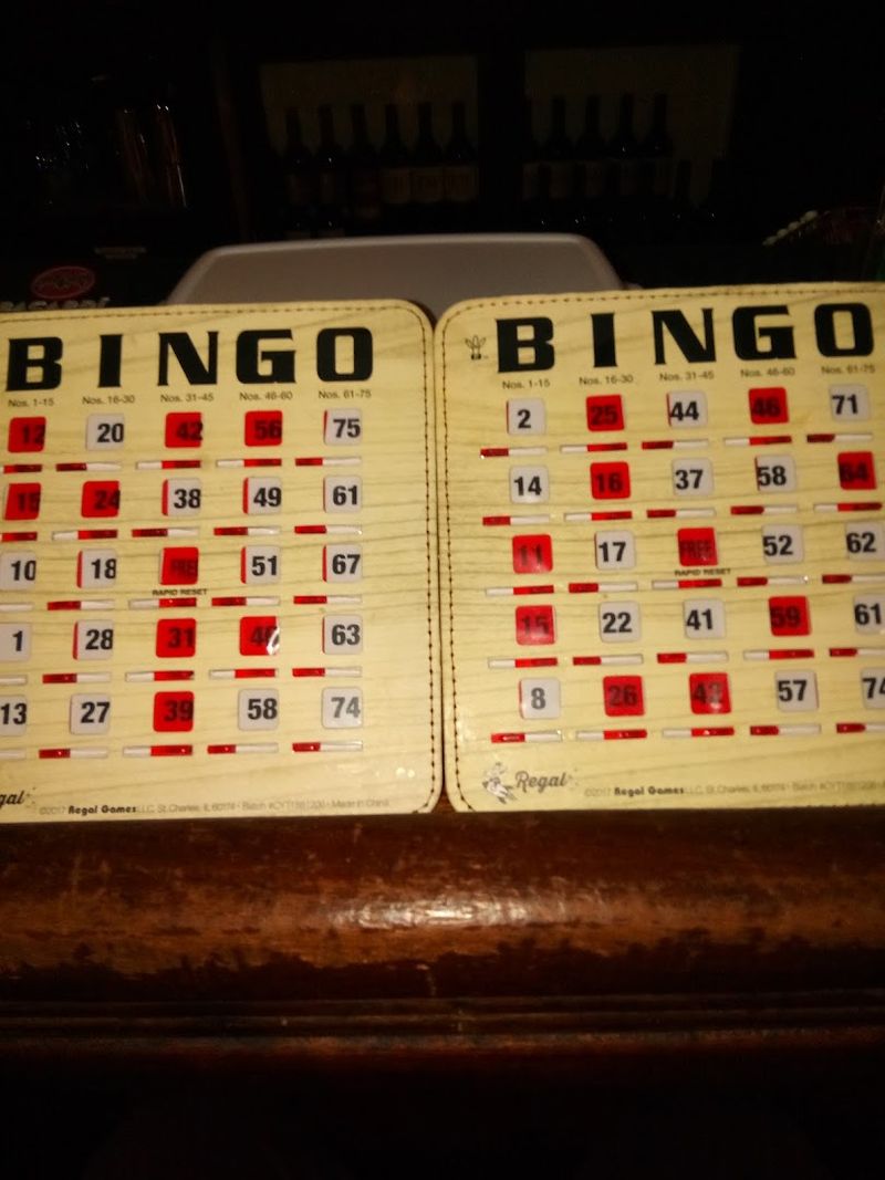Bingo Night at The Old Canal Inn