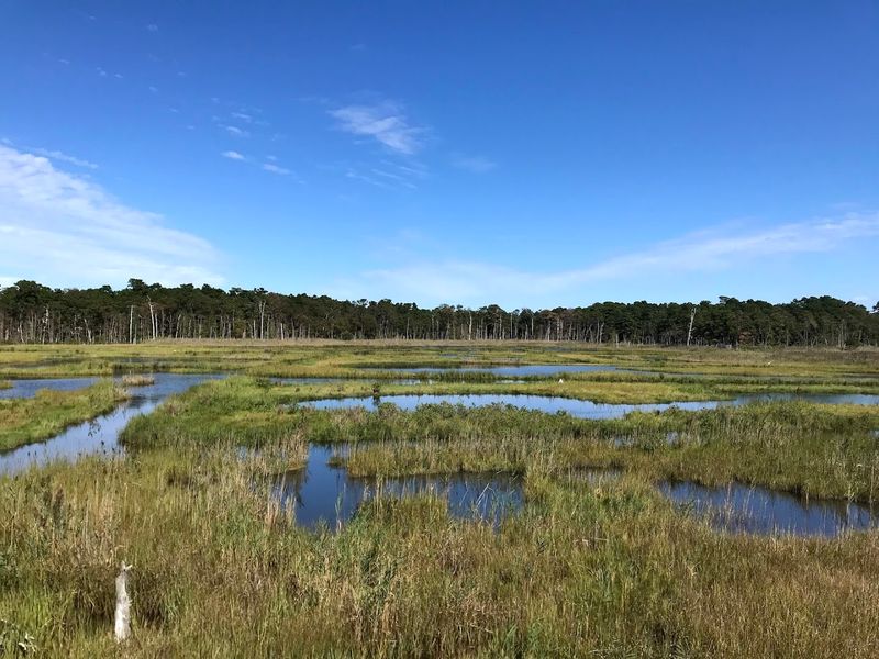 Best Seasons and Smart Timing