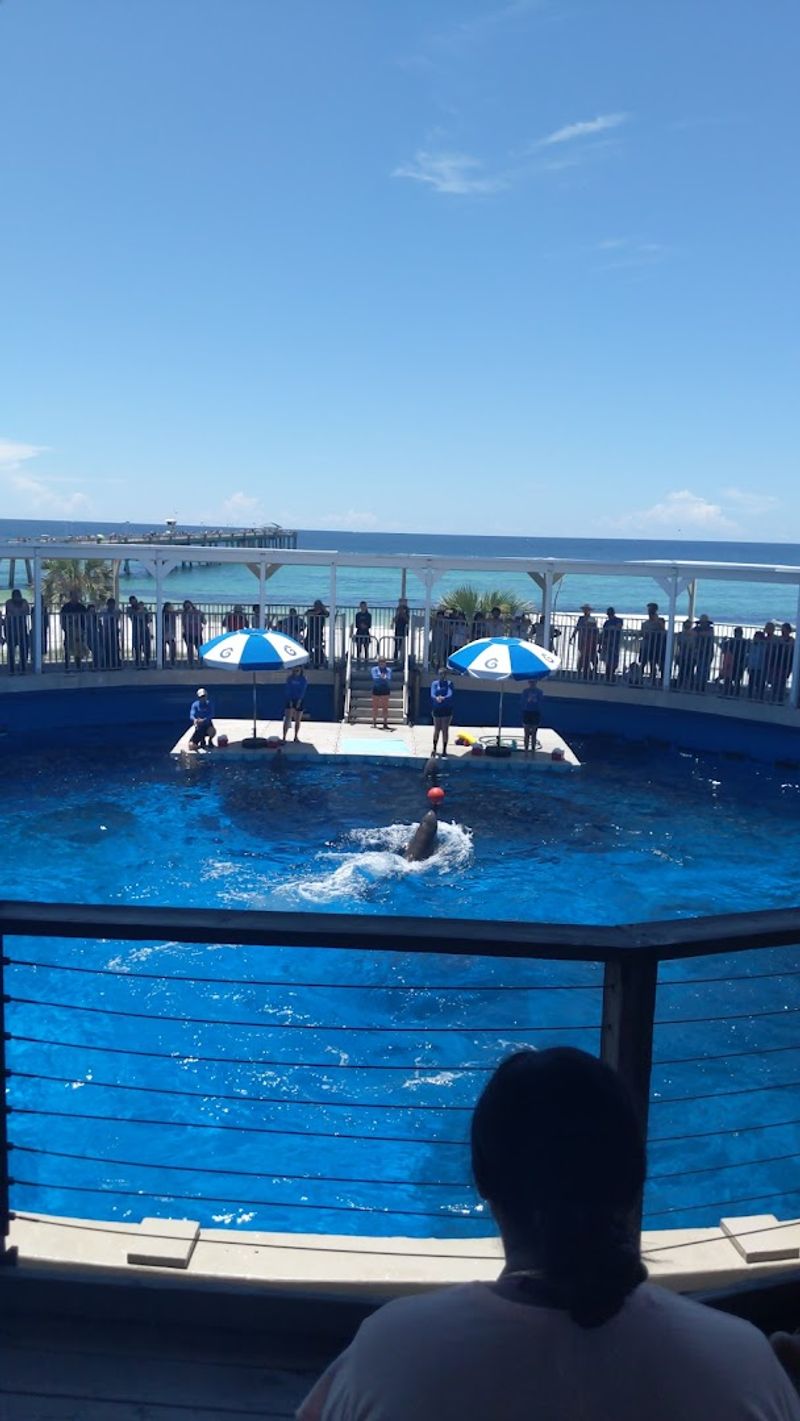 Special Discounts, Senior Days, and Veteran Perks