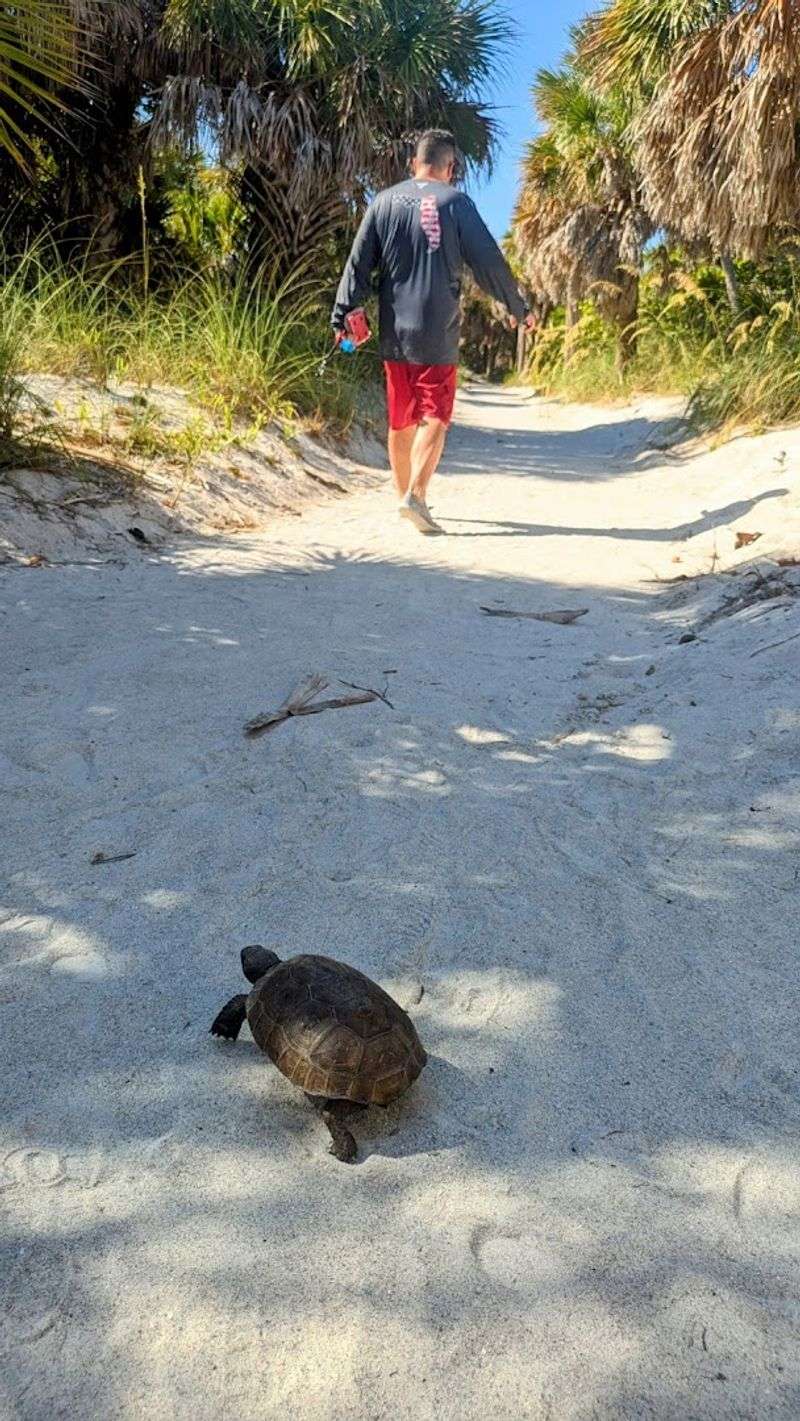 Hiking the Trails: Over Five Miles of Island Paths