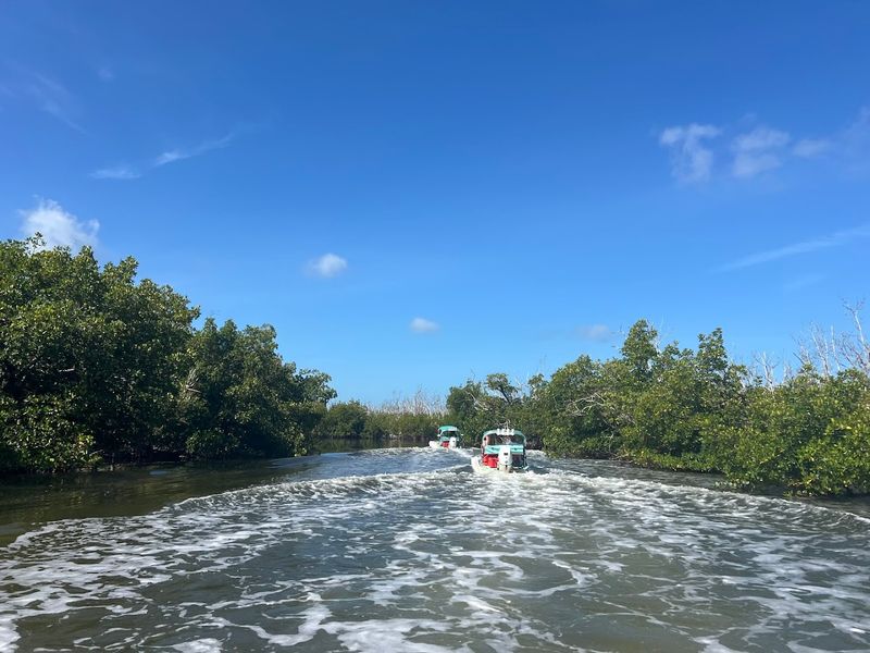 Tour Length Options: Choosing Your Adventure