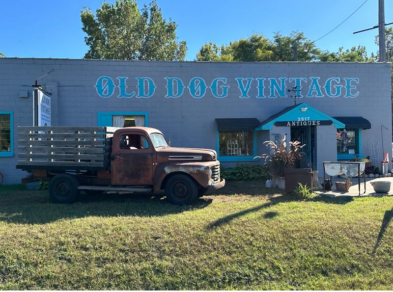 Where Old Dog Vintage Actually Lives