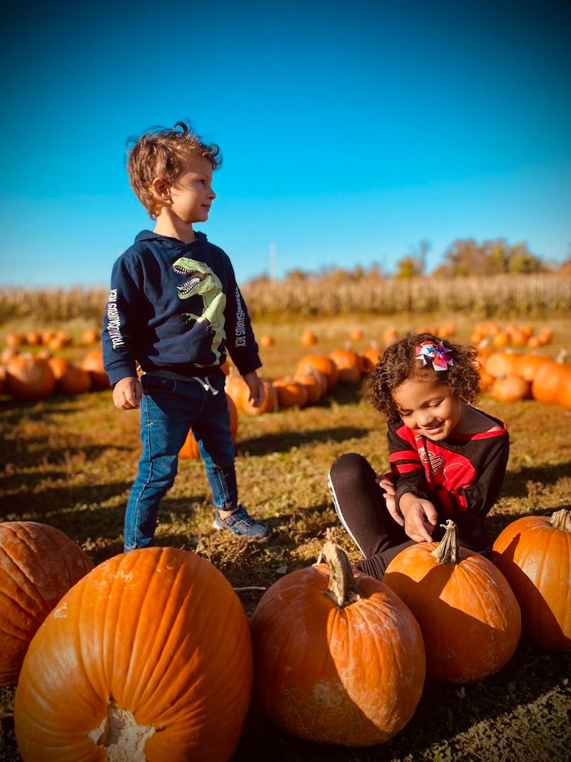 A Strong Pick for Families