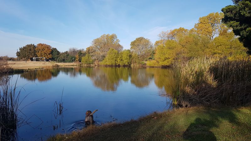 Outdoor Life and Wide Open Spaces