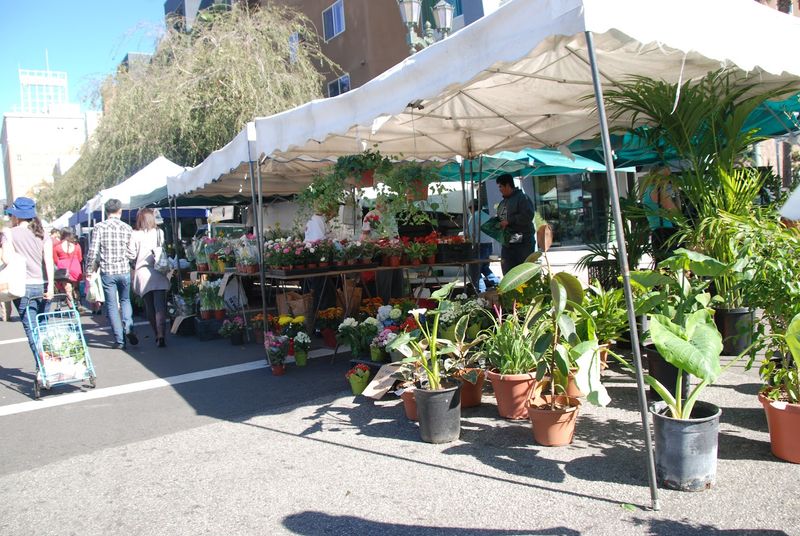 Hollywood Farmers Market (Los Angeles, California)