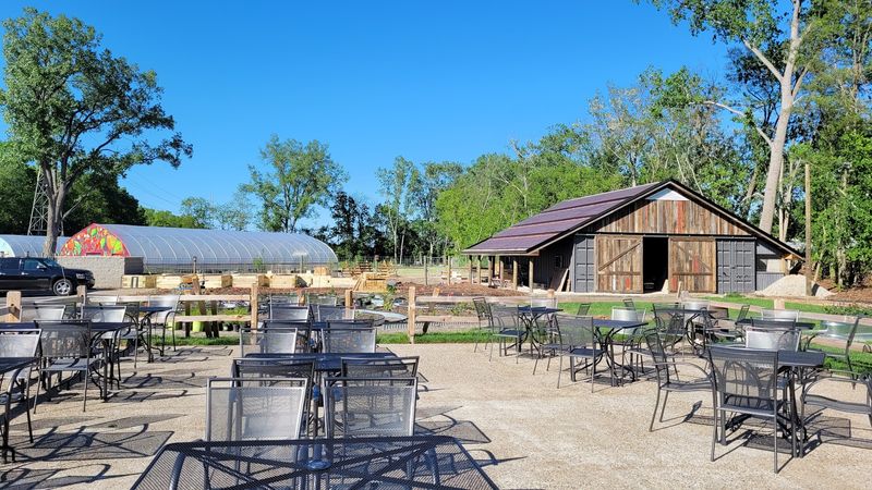 Sustainability as a Core Value, Not a Trend