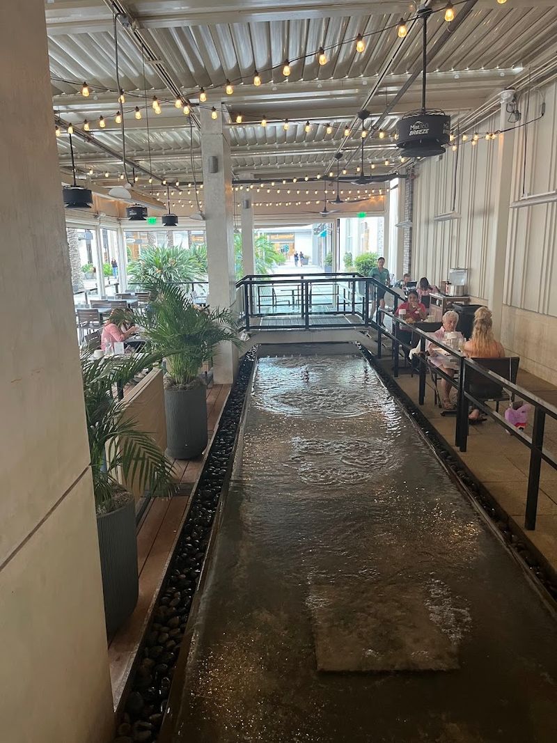 Live Music and the Mood It Creates