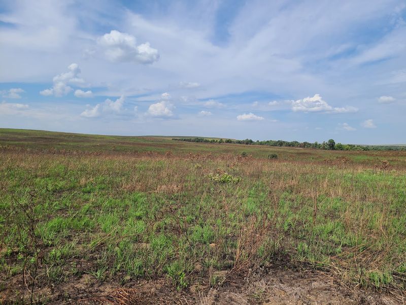 Hiking Trails With Views That Reward the Effort