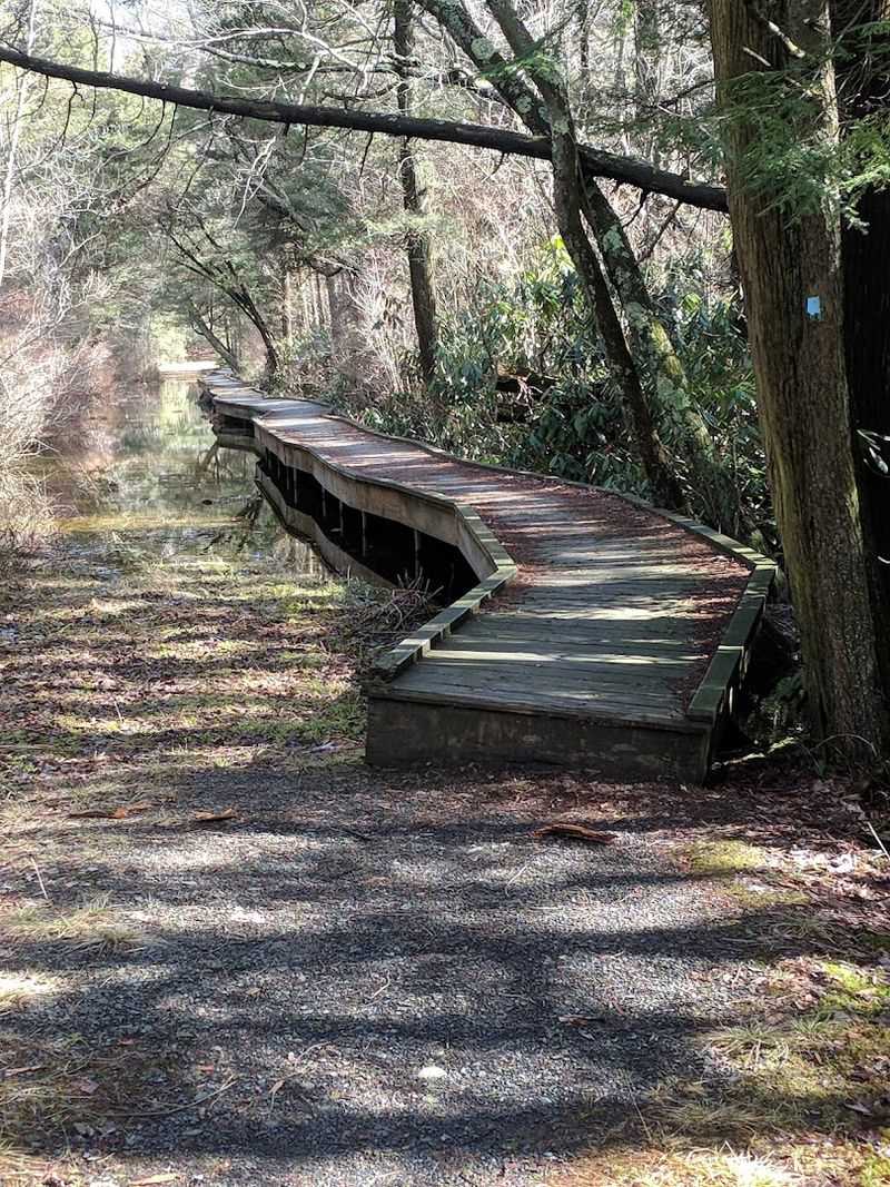Cedar Swamp Trail at High Point State Park