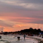 Dunedin Is Home to One of Florida’s Most Underrated Coastal Gems