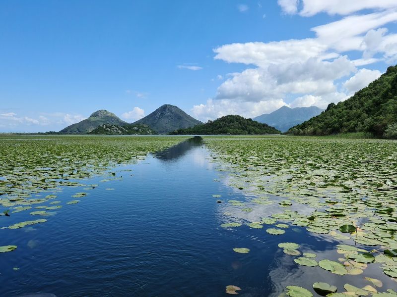 Lake Skadar