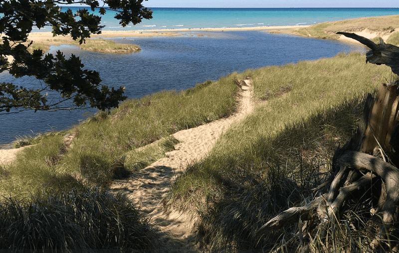 What to Expect from the Booking Process