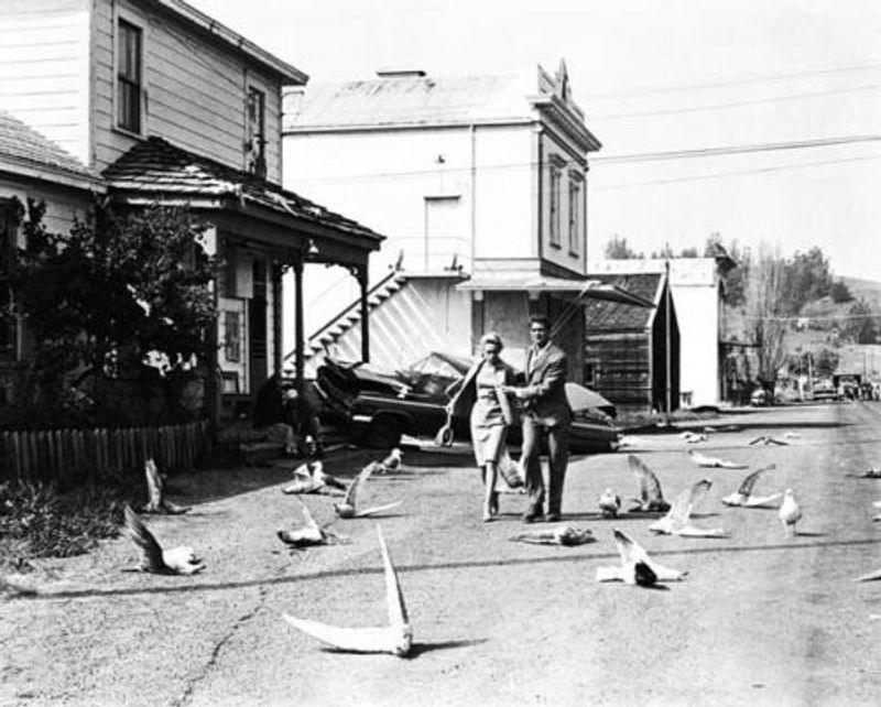 Bodega Bay – California (The Birds)