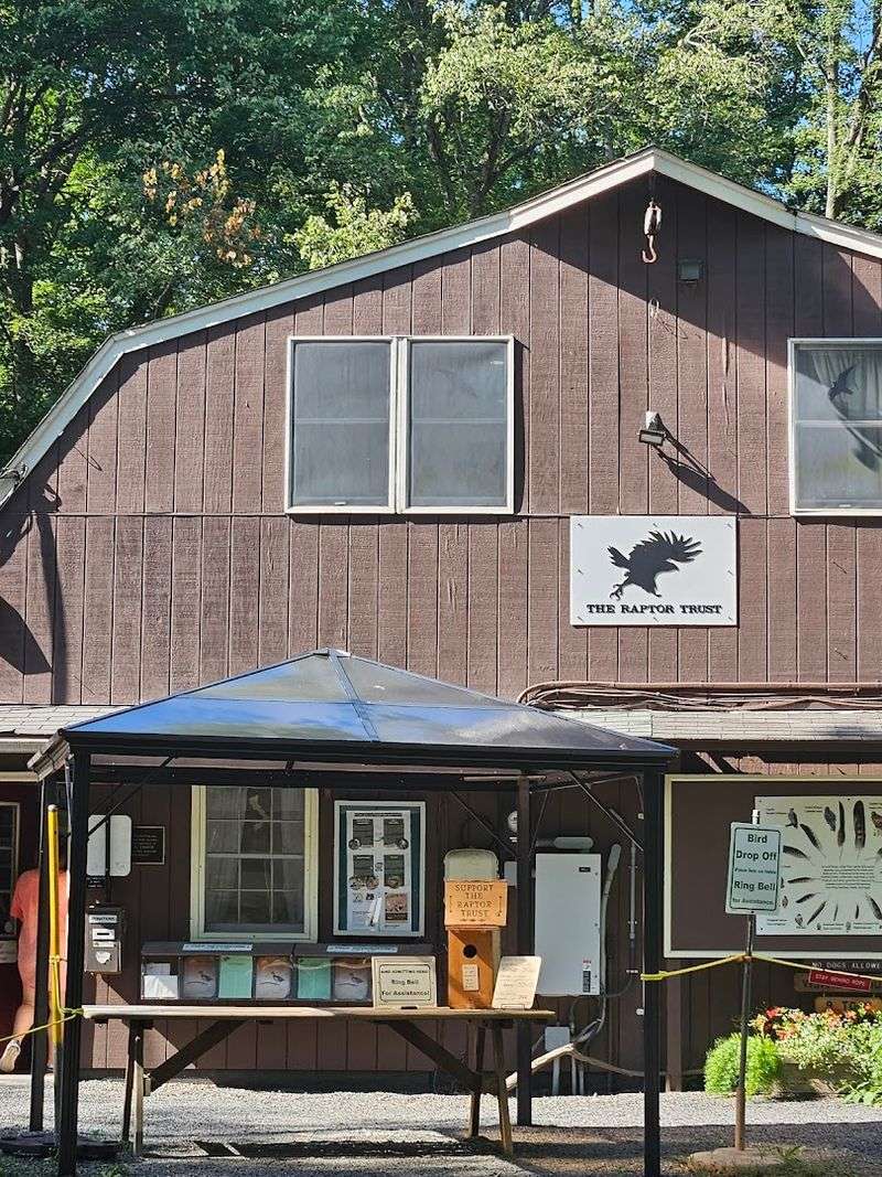 The Gift Shop Is a Genuine Surprise