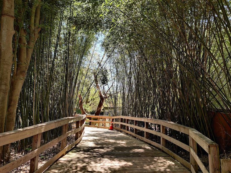 Wheelchair Accessible and Stroller Friendly