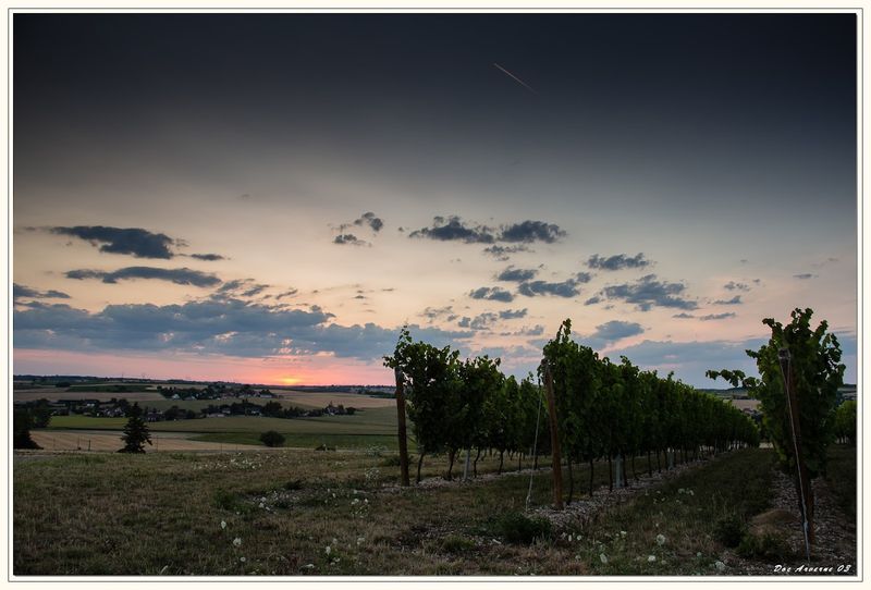 Saint-Pourçain – Burgundy's Hidden Wine Village