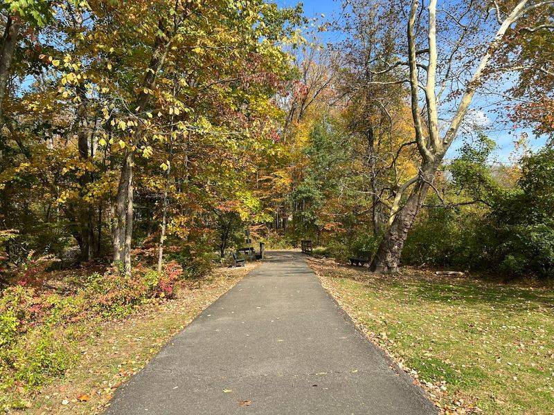 Paved Paths Built for Everyone