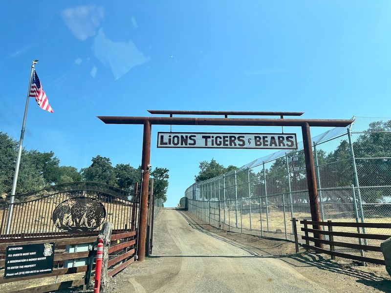 Lions Tigers & Bears — Alpine, California