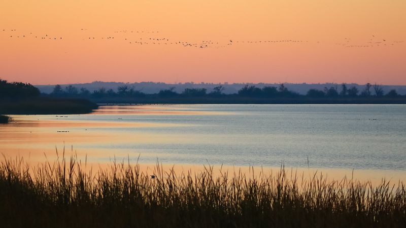 Wildlife Watching Beyond the Salt Flat