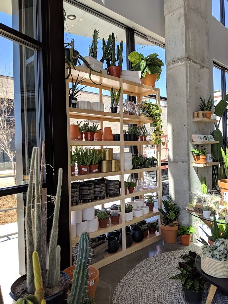 Visiting Smart: What to Know Before You Go