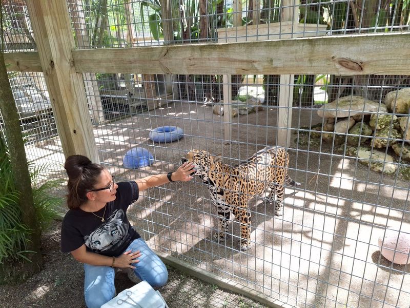 A Family-Friendly Experience With Real Educational Value