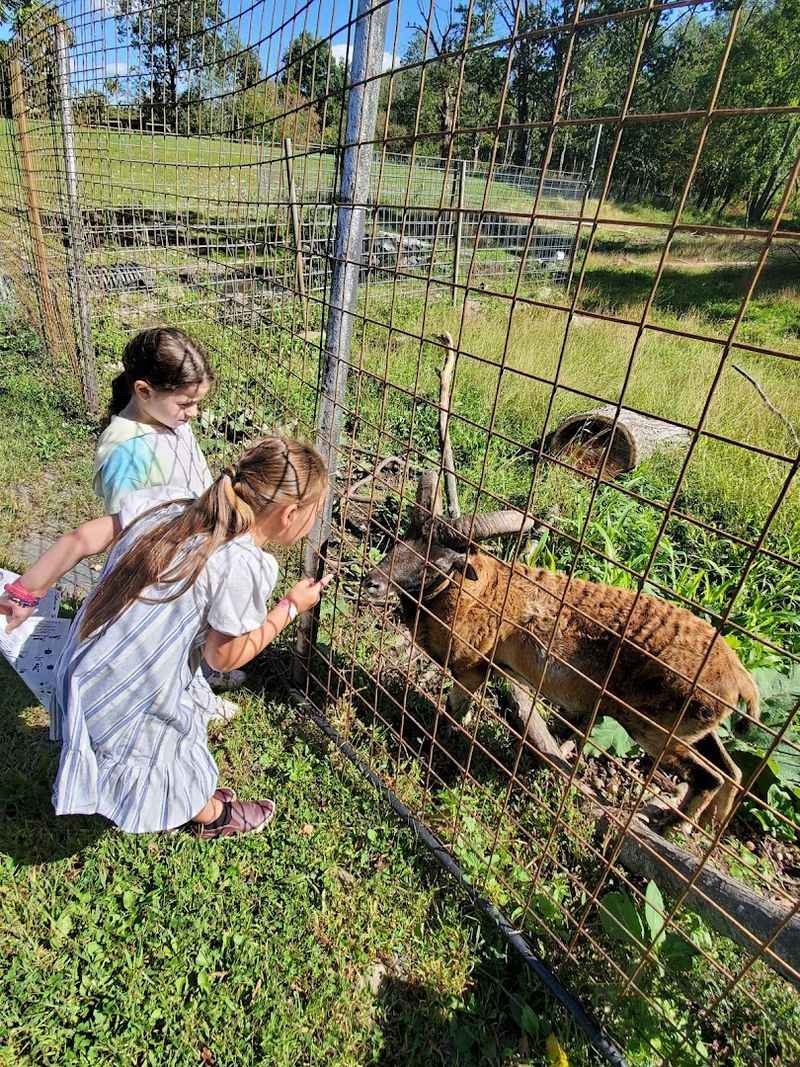 Seasonal Passes and Why Regulars Swear By Them