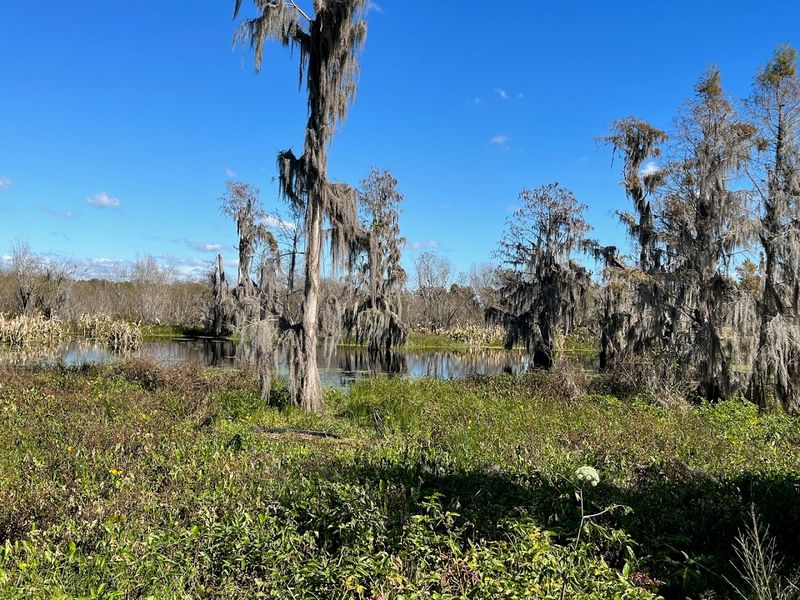 Best Routes for Short Visits