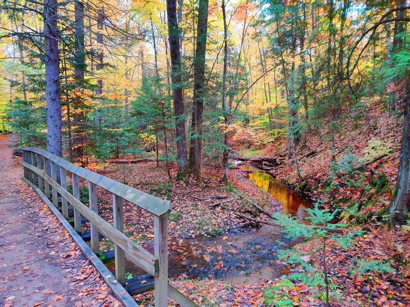 The North Country Trail Connection