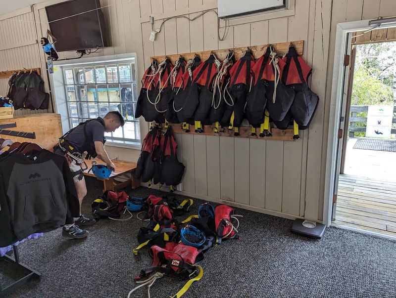 What to Know About the Gear