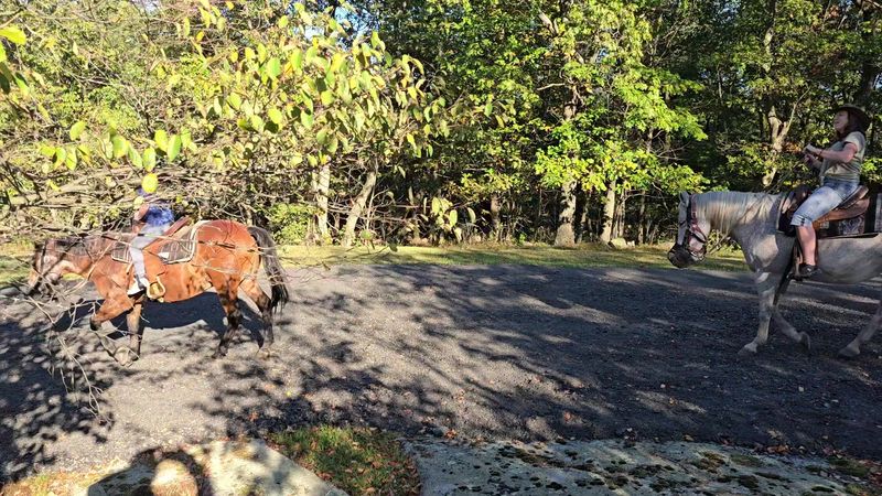 Group Events With Personality