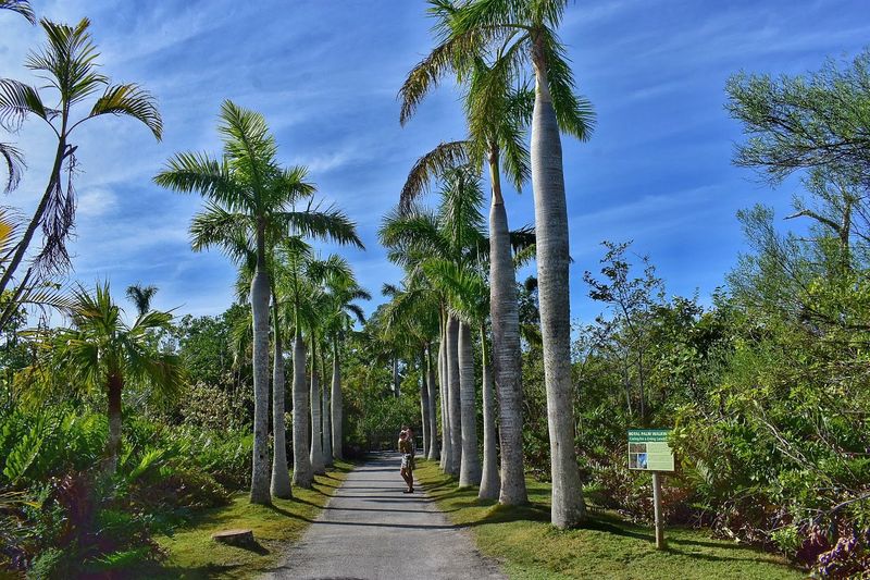 Best Times to Visit and Tips for Making the Most of Your Day