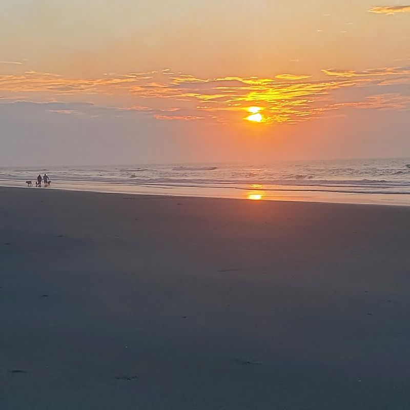 The Best Times of Year to Visit