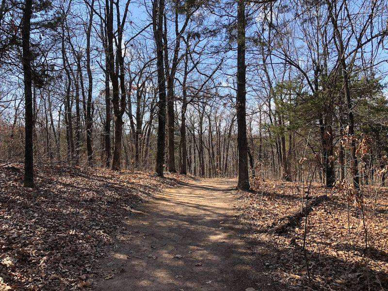 Practical Tips Before You Head Out