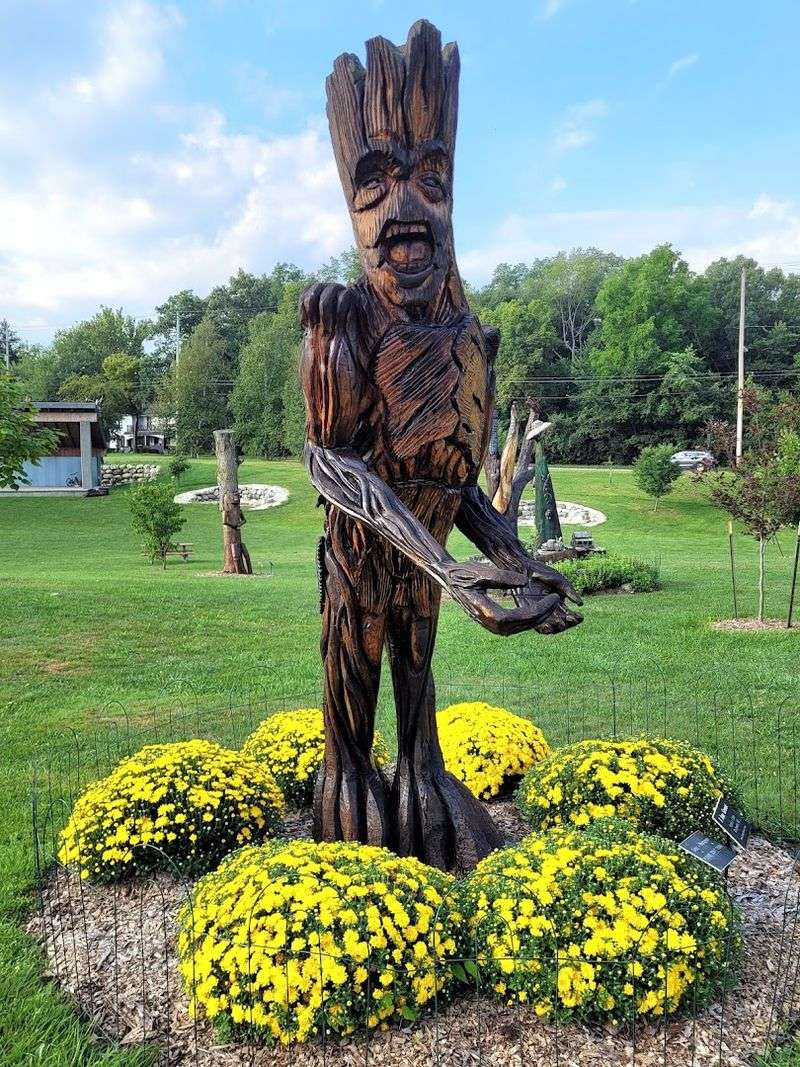 The Connection to Environmental Conservation