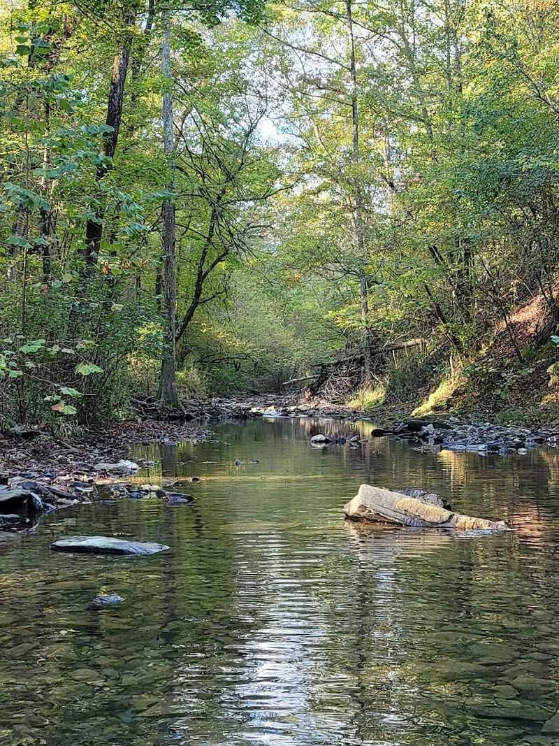 Beginner-Friendly Waters With Just Enough Excitement