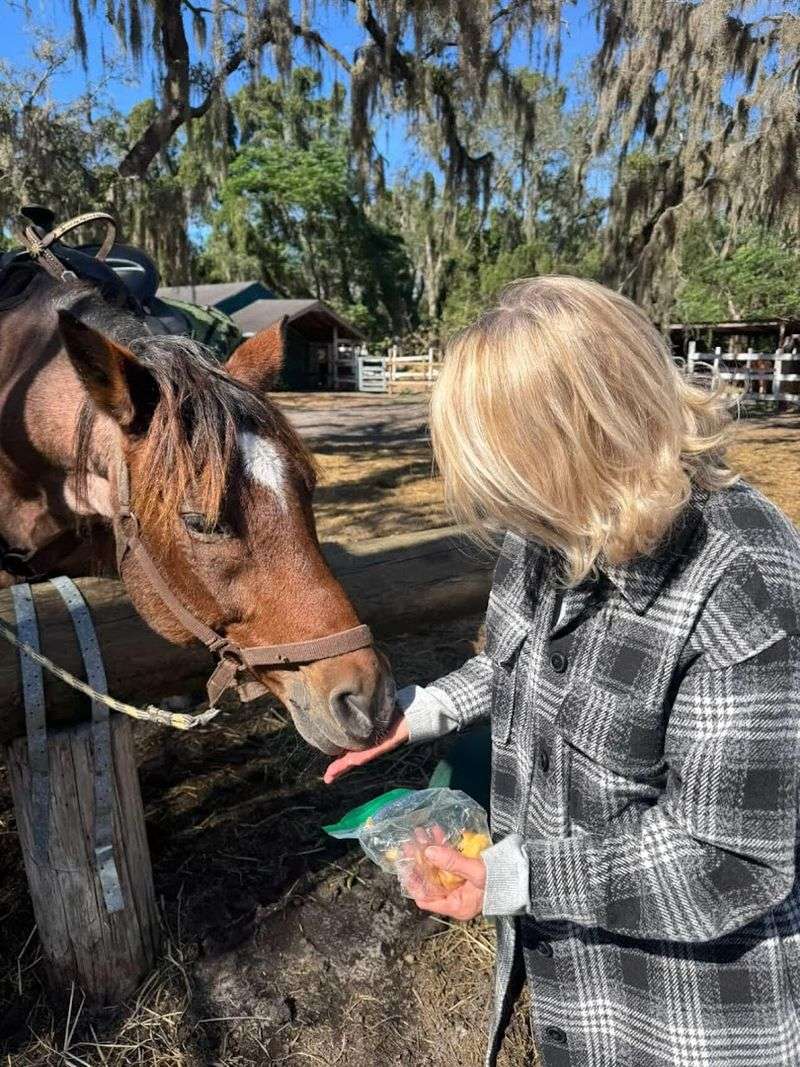 After the Ride: Feeding, Grooming, and Hanging Out