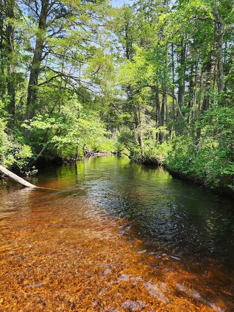 Why This Park Keeps Pulling People Back