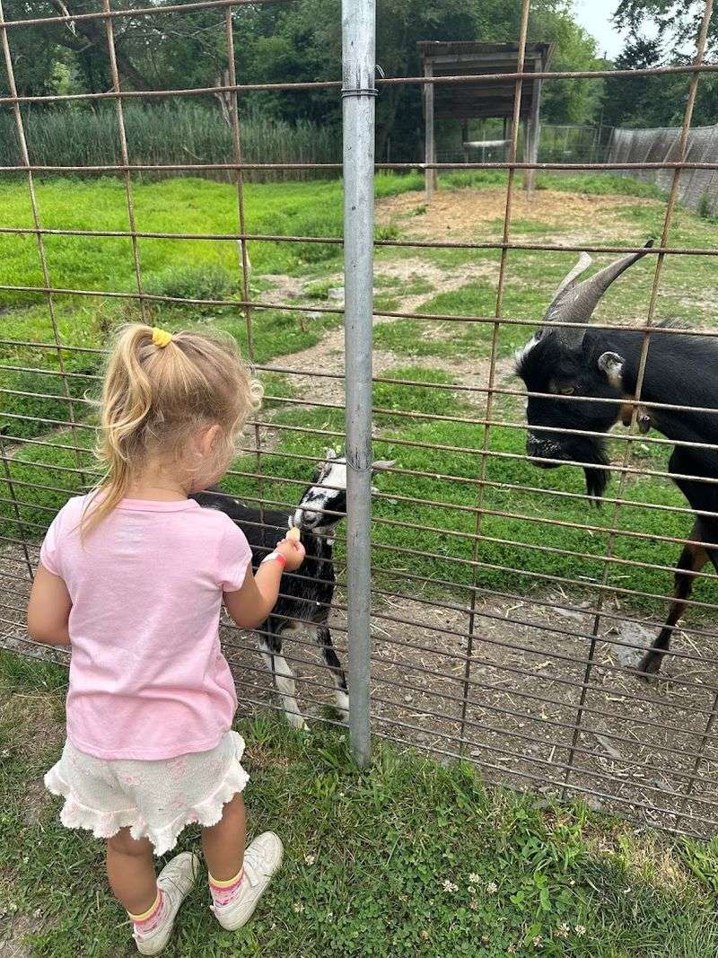 The Layout and Grounds: Built for a Relaxed Pace