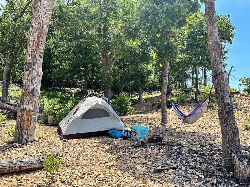 Camping on the Island Under the Stars