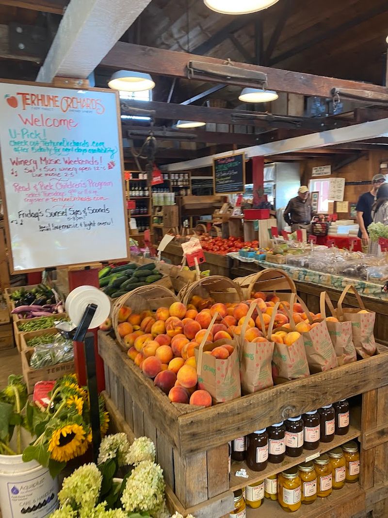 When to Go and How to Plan