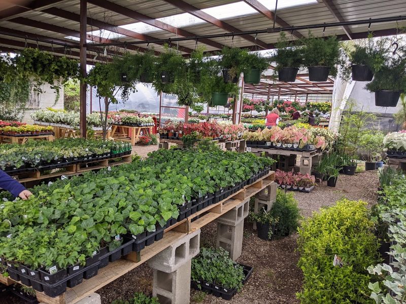 The Scale That Surprises Every First-Time Visitor