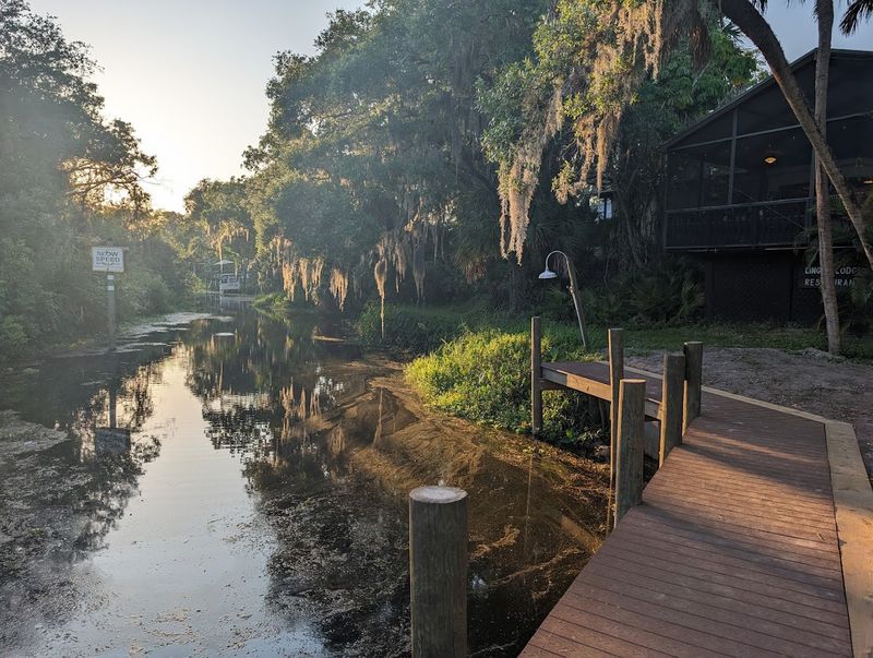 A History Rooted in Old Florida Wilderness