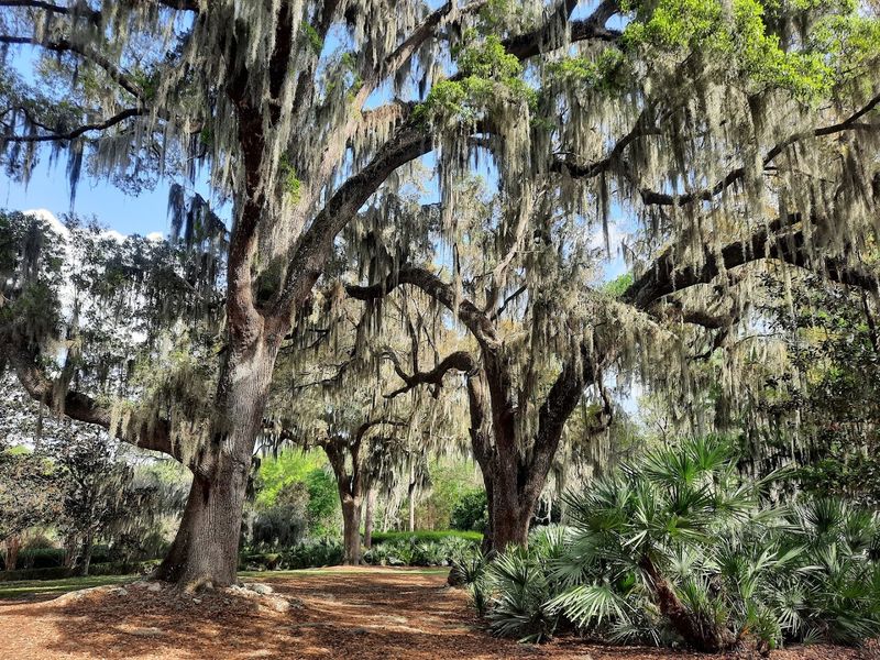 The Story Behind the Park: A Private Vision Shared with Everyone