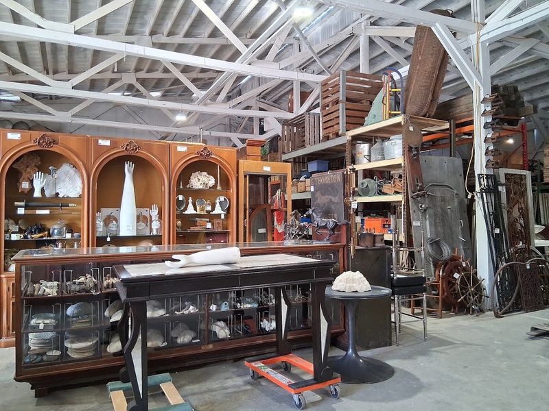 The Story Behind the Salvage: A Passion-Driven Business