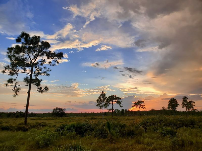 The Scale of the Land