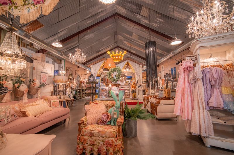 The Look and Feel of the Space