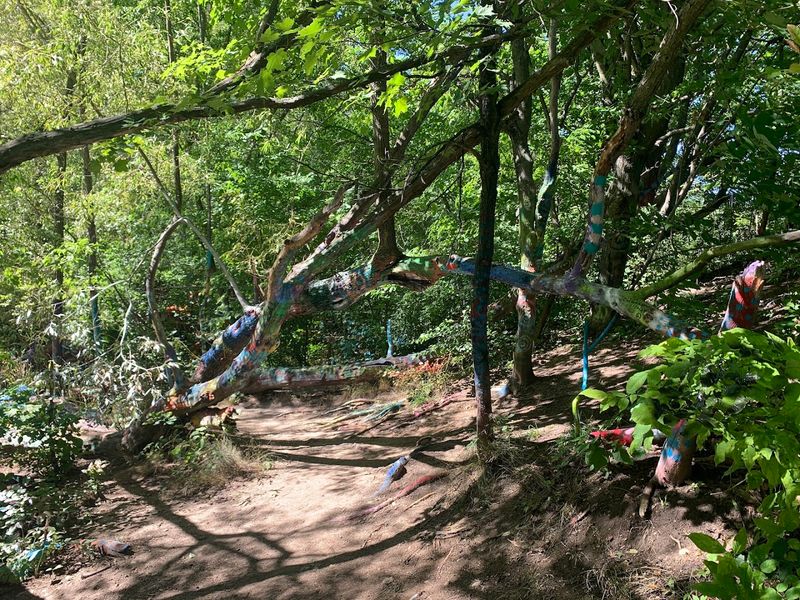 The History Behind the Woods: Village at Grand Traverse Commons