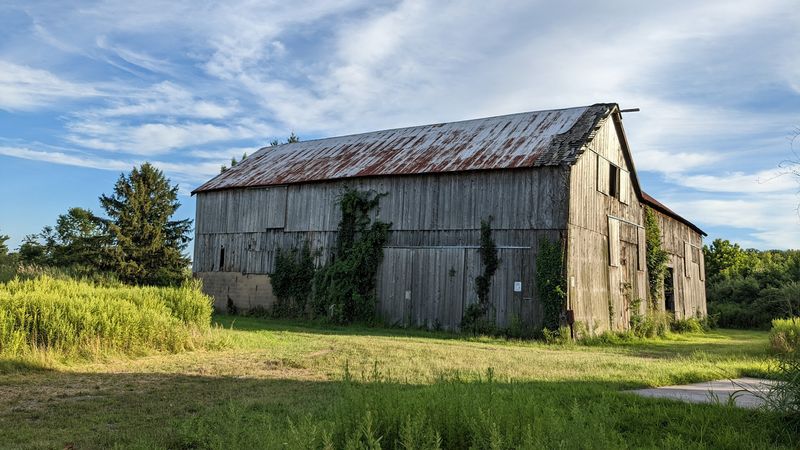The Old Barn and the Back Pond